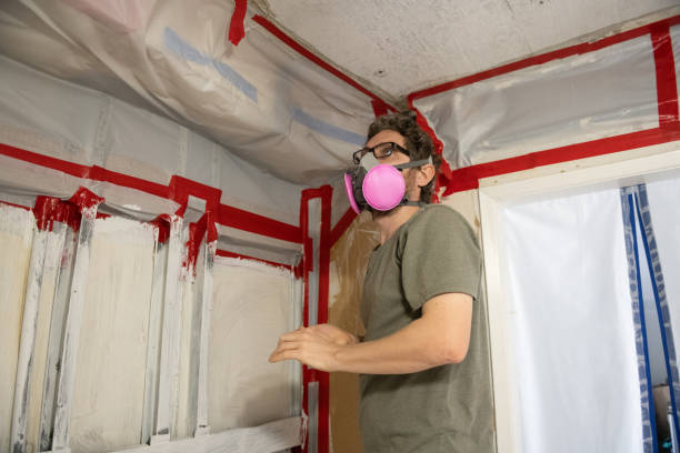 Reliable Trinity, FL Mold Inspection, Removal & Remediation Solutions